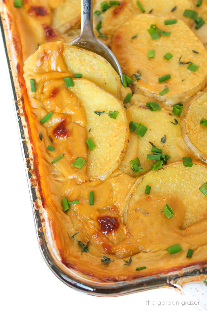 Close up view of serving spoon scooping out vegan scalloped potatoes from a baking dish