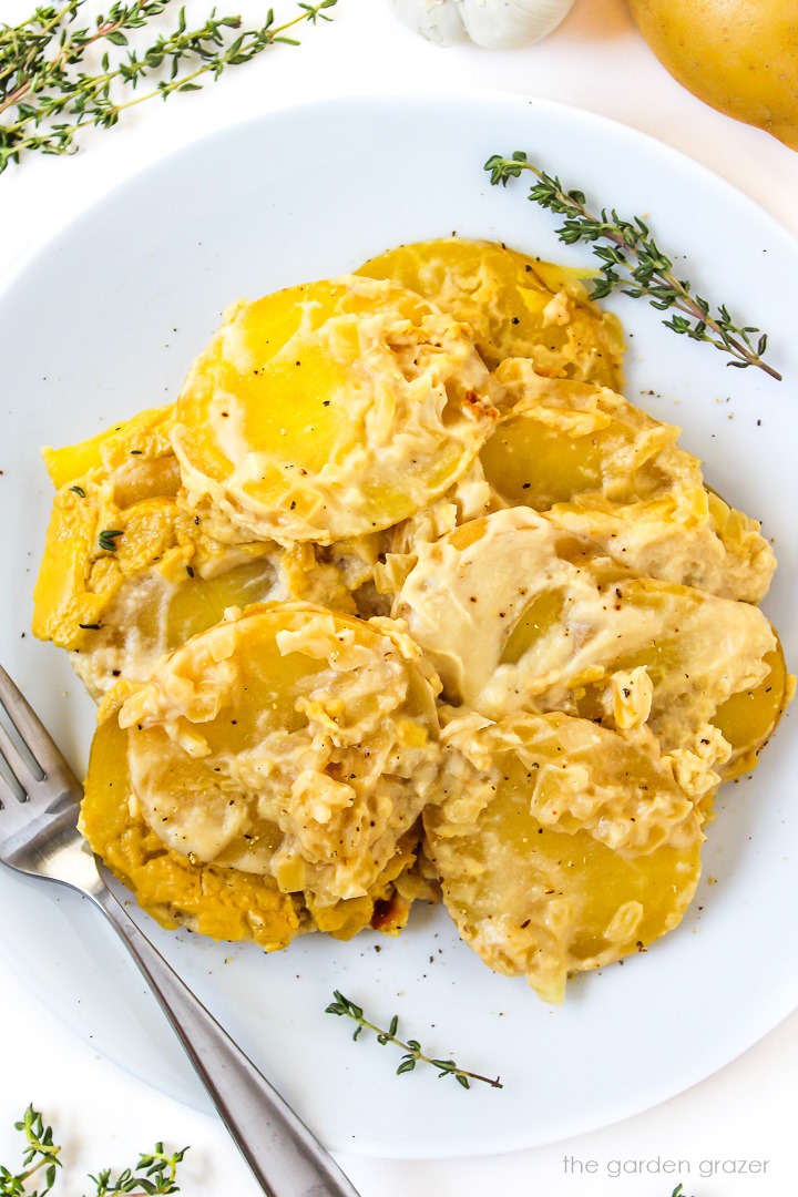 Vegan scalloped potatoes on a white plate with fork and fresh thyme