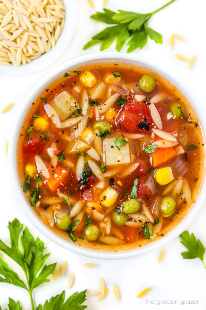 Vegetable Orzo Soup (Easy, Vegan!) The Garden Grazer