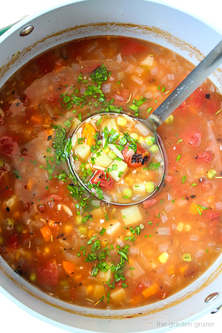 Overhead view of a ladle scooping out vegetable orzo soup from a large pot
