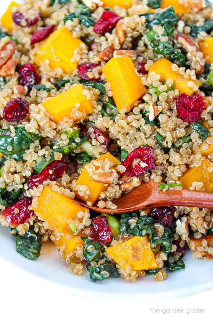 Close-up view of fall quinoa salad on a white plate with wooden serving spoon