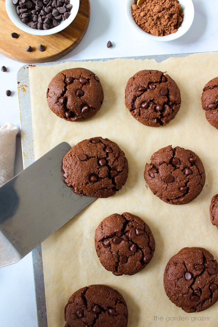 A metal spatula lifting up a vegan chocolate cookie from a sheet pan after it bakes