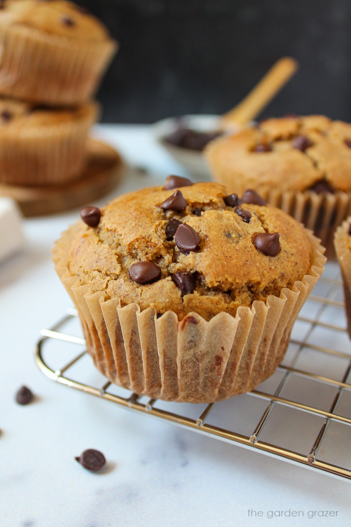 Vegan chocolate chip muffins on a cooling rack after baking