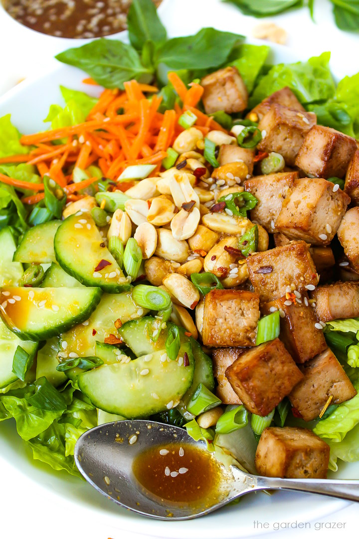 Close up view of savory peanut tofu salad with cucumber and carrot in a white bowl