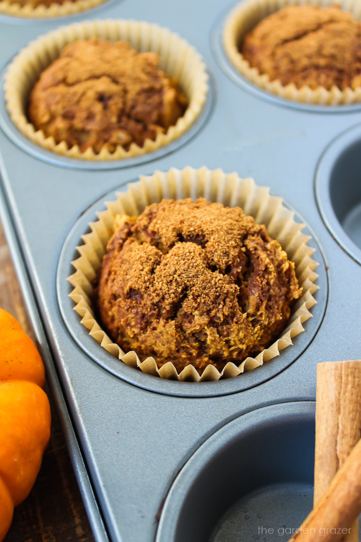 Gluten-free vegan pumpkin muffins sitting in a metal tray after baking